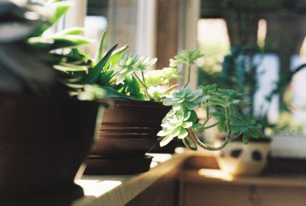 おわりに:自分を大切にできるスケジュールを