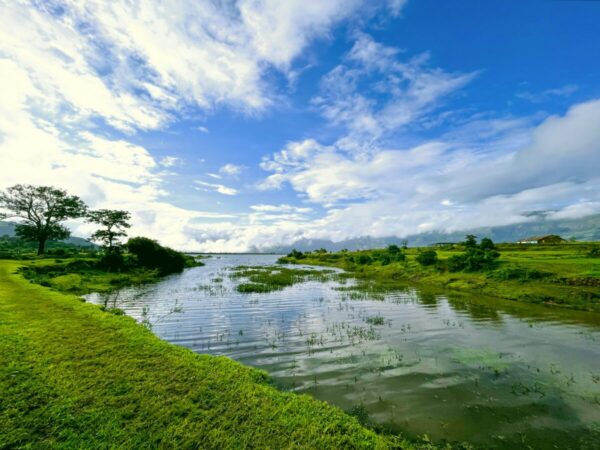 余裕がない毎日から抜け出すための心の余白（穏やかな川の風景）